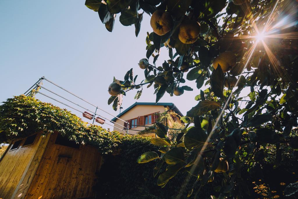Holiday Home Castanea Praporcan Dış mekan fotoğraf