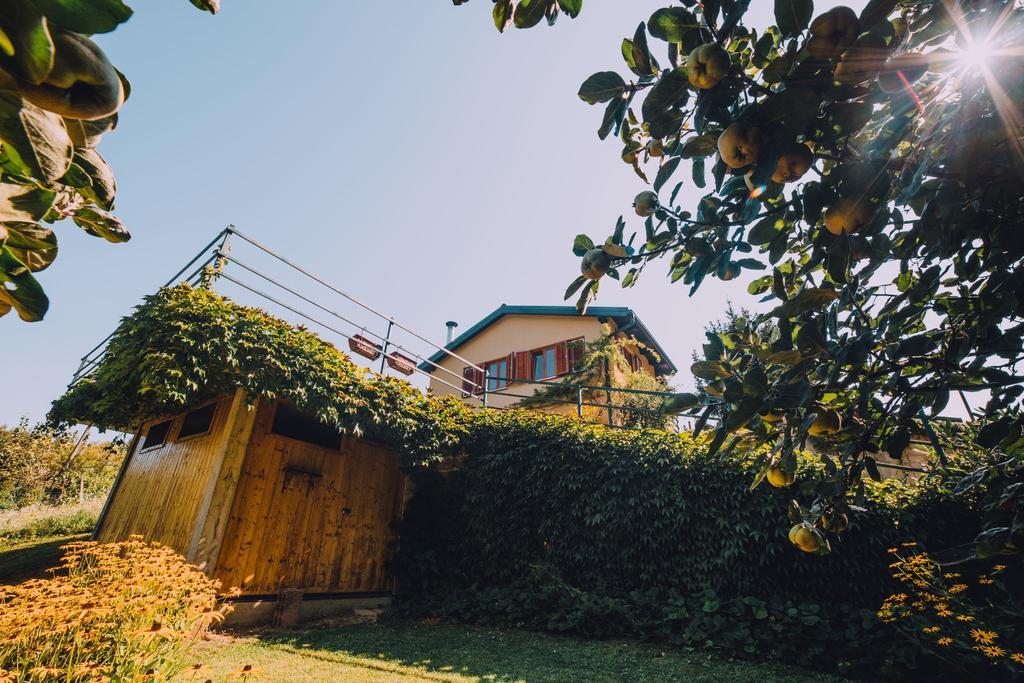 Holiday Home Castanea Praporcan Dış mekan fotoğraf