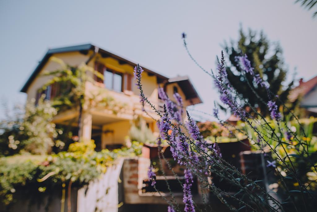 Holiday Home Castanea Praporcan Dış mekan fotoğraf